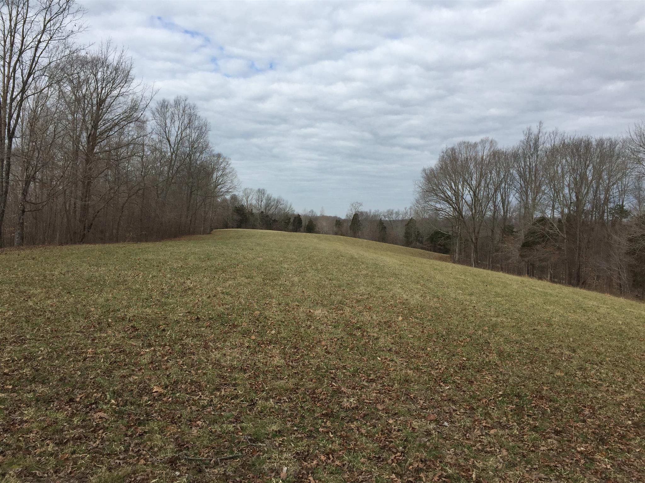 102 Wiggs Branch Road Erin, TN 37061 - Photo 3 of 3 Gallery Image 3