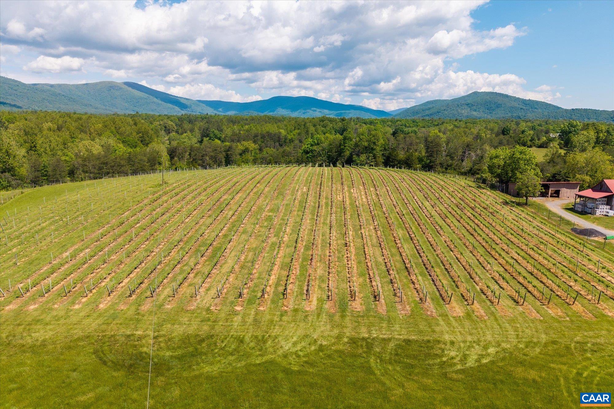 5150 Break Heart Road Crozet, VA 22932 - Photo 4 of 10 a view of an outdoor space and mountains
