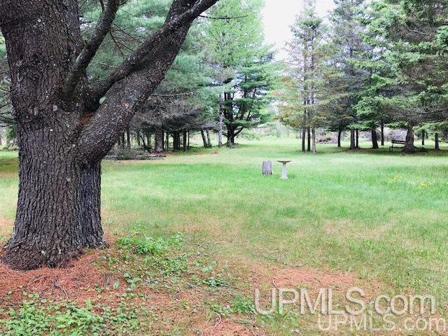 4295 Thompson Road Florence, WI 54121 - Photo 34 of 42 Gallery Image 34