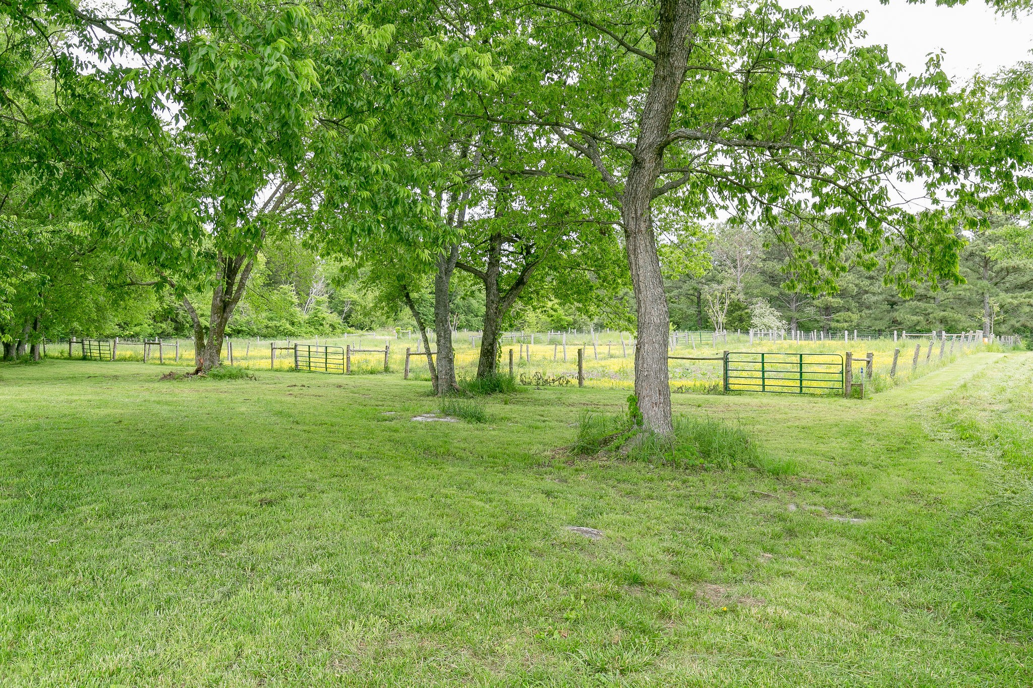 3041 Spring Hill-duplex Rd Spring Hill Spring Hill, TN 37174 - Photo 38 of 43 Gallery Image 38