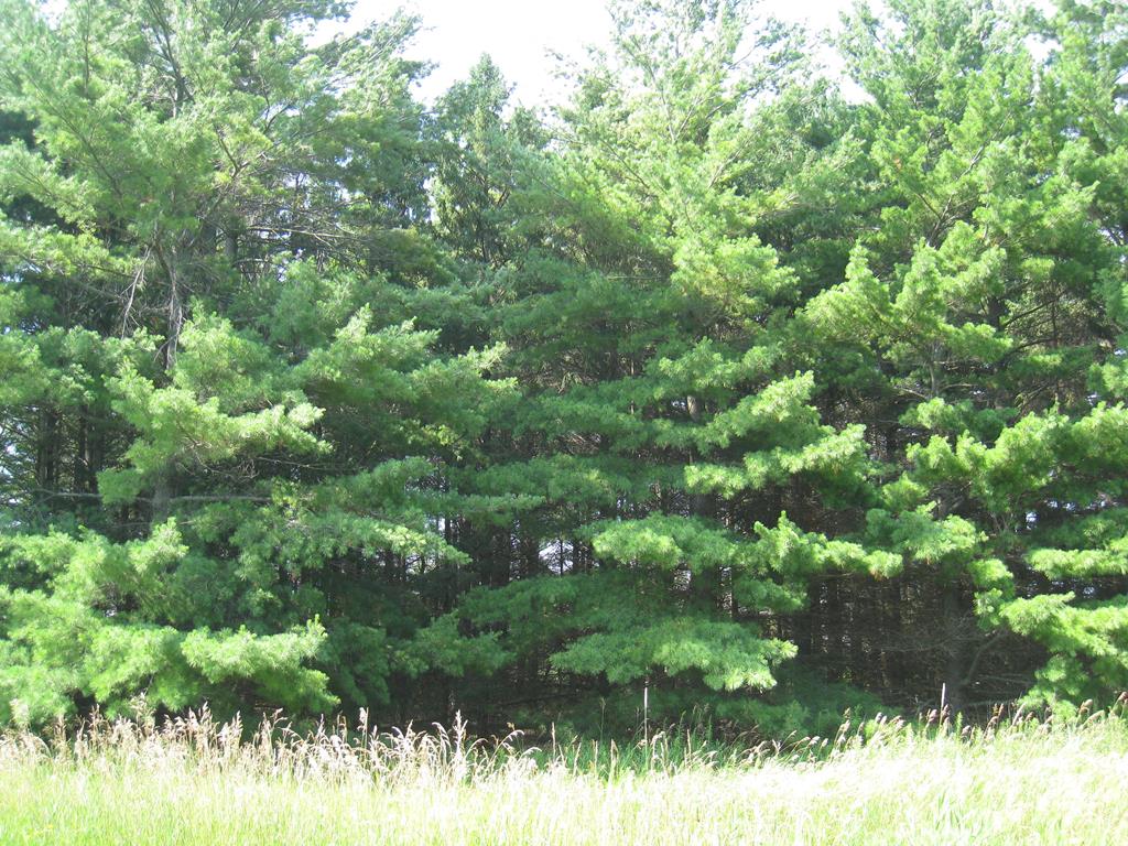 Lot 4 Hainesville Road Sturgeon Bay, WI 54235 - Photo 4 of 4