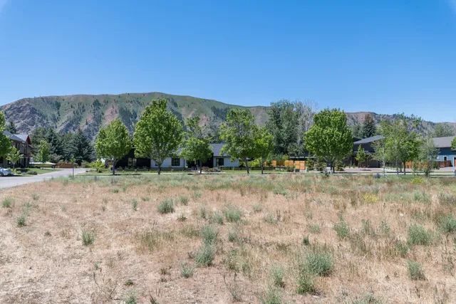 $995,000 | 940 CD Olena Drive, Hailey, ID 83333