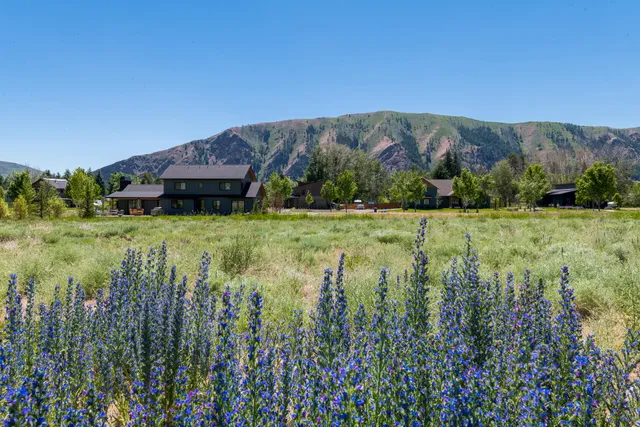 $995,000 | 940 CD Olena Drive, Hailey, ID 83333