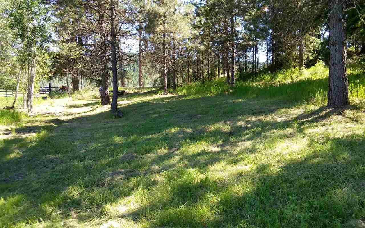 4644 Springdale-Hunters Road Springdale, WA 99173 - Photo 1 of 20