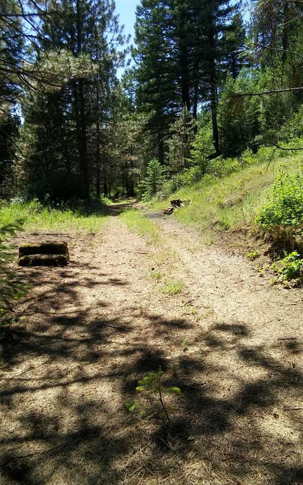 4644 Springdale-Hunters Road Springdale, WA 99173 - Photo 14 of 20