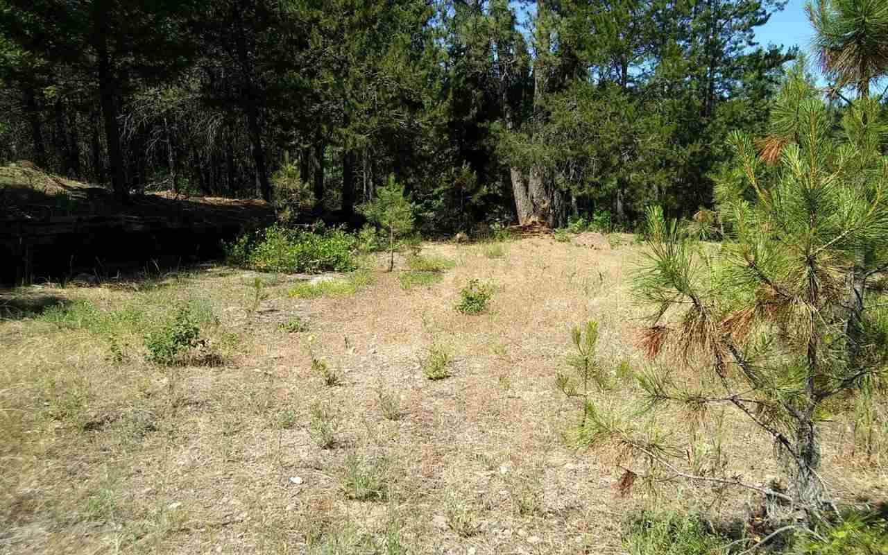 4644 Springdale-Hunters Road Springdale, WA 99173 - Photo 4 of 20
