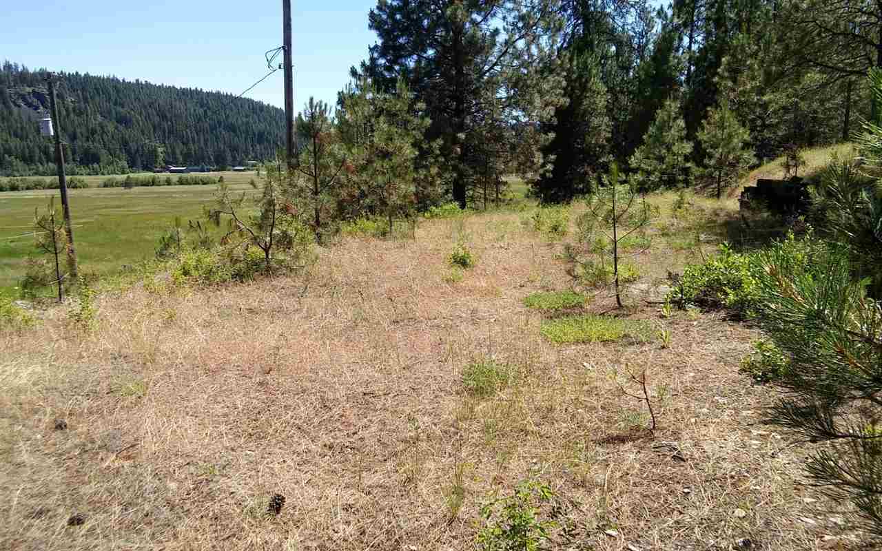 4644 Springdale-Hunters Road Springdale, WA 99173 - Photo 5 of 20