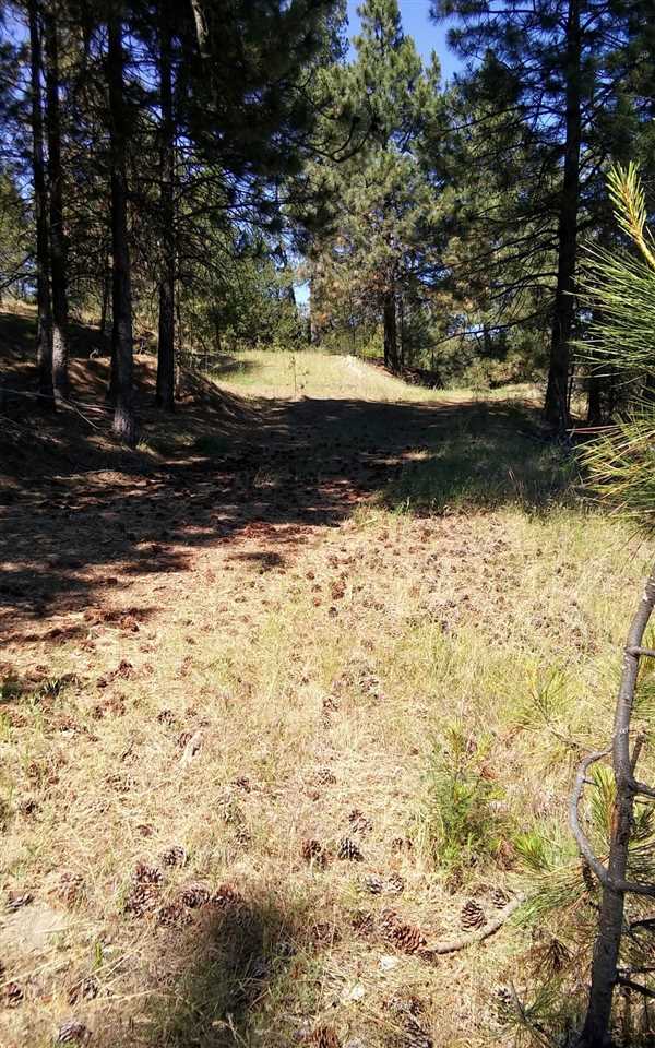 4644 Springdale-Hunters Road Springdale, WA 99173 - Photo 8 of 20
