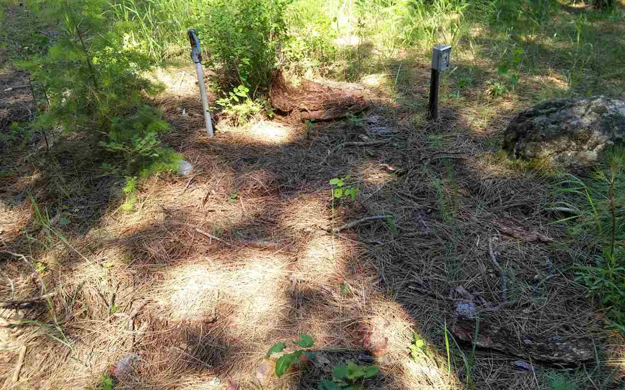 4644 Springdale-Hunters Road Springdale, WA 99173 - Photo 10 of 20