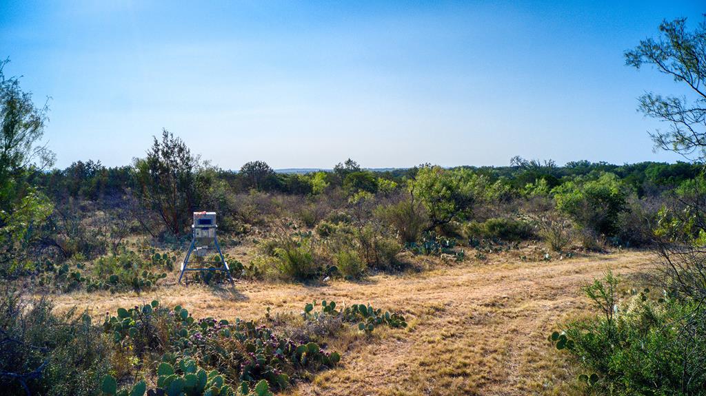 0 Ranch Road 1871 Mason, TX 76856 - Photo 2 of 9