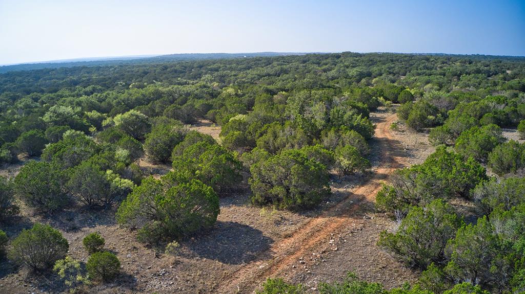 0 Ranch Road 1871 Mason, TX 76856 - Photo 4 of 9