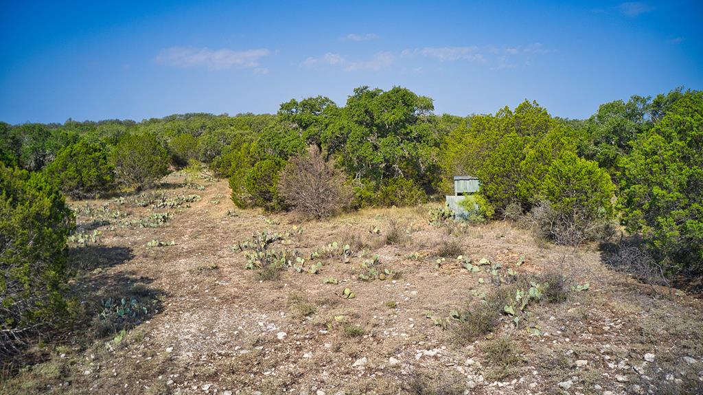 0 Ranch Road 1871 Mason, TX 76856 - Photo 8 of 9
