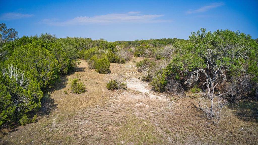0 Ranch Road 1871 Mason, TX 76856 - Photo 9 of 9