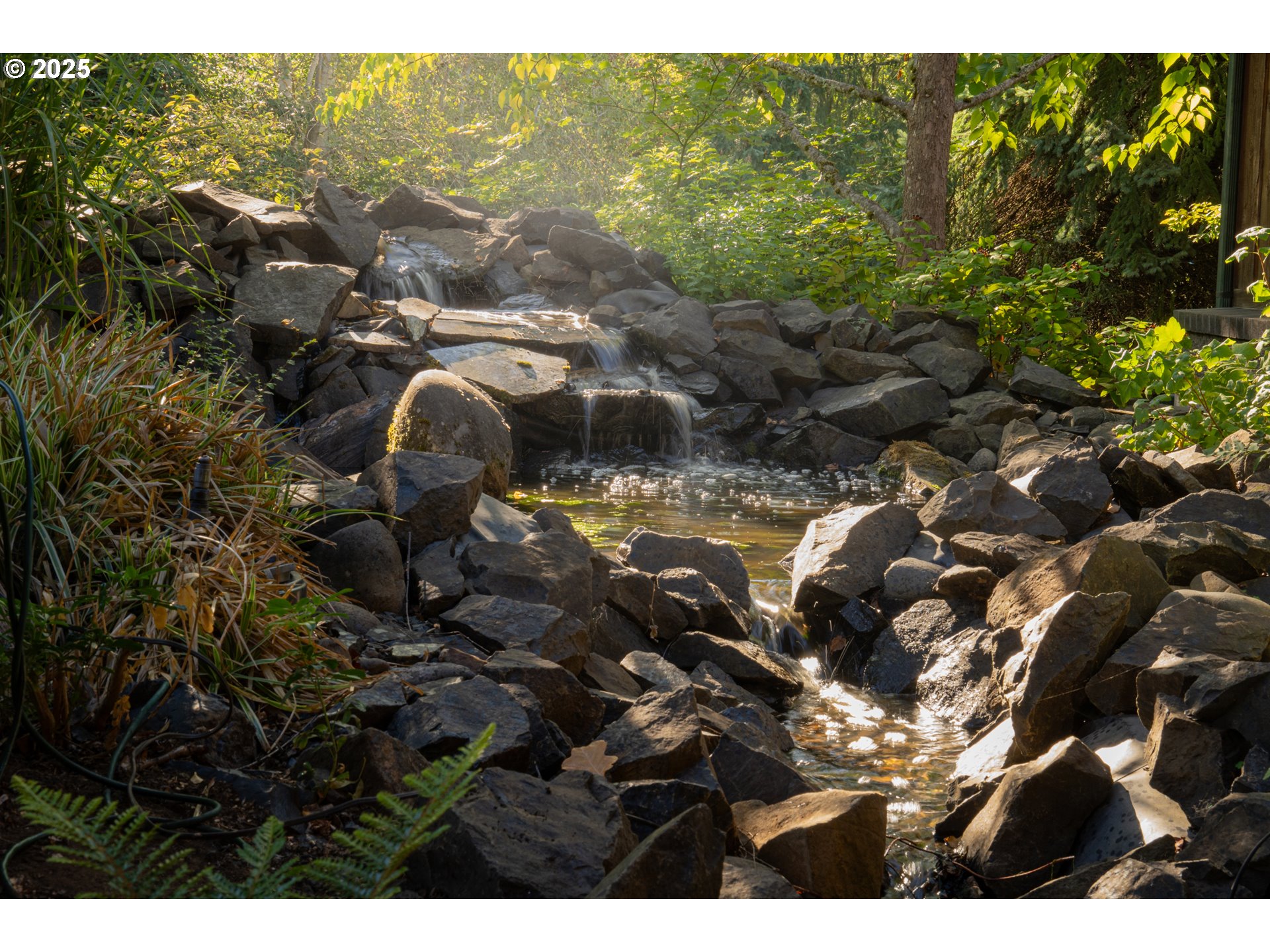 2225 Parkside Lane Eugene, OR 97403 - Photo 48 of 48