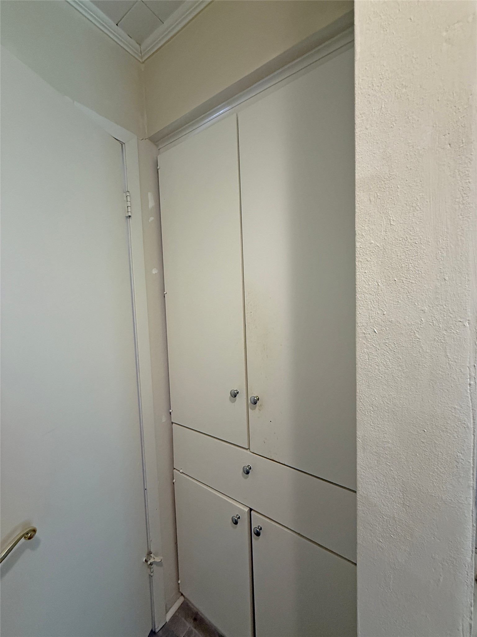 508 Rals Drive Onalaska, TX 77360 - Photo 32 of 42 Built in cabinets in primary bathroom