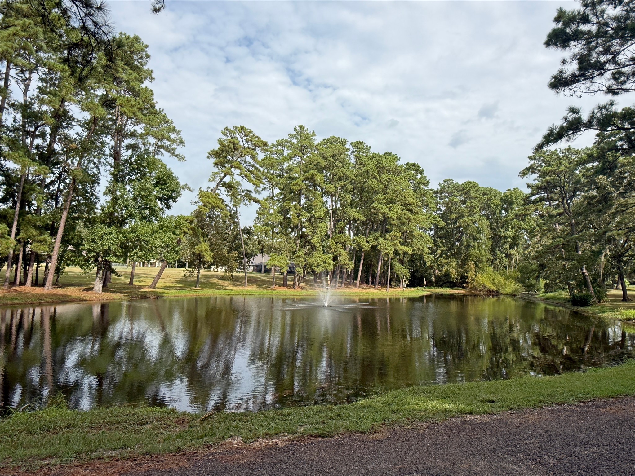 508 Rals Drive Onalaska, TX 77360 - Photo 42 of 42 Peaceful neighborhood pond.