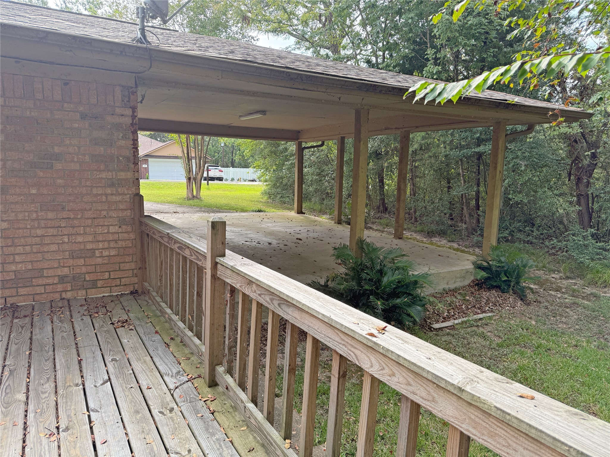 508 Rals Drive Onalaska, TX 77360 - Photo 7 of 42 a view of backyard with green space