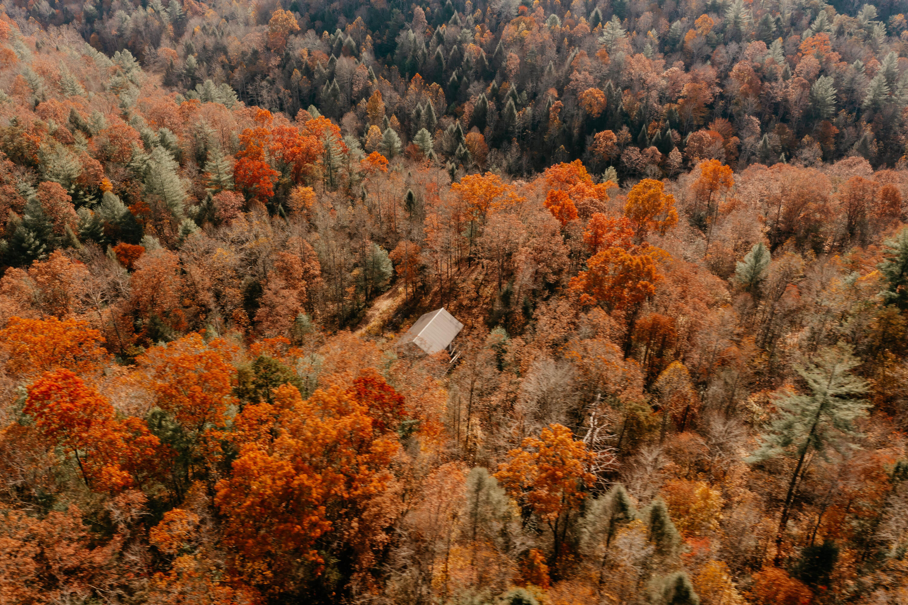 514 Adams Road Pine Ridge, KY 41360 - Photo 6 of 51 DJI_0039