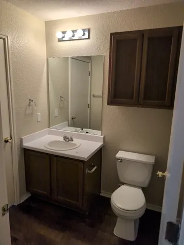 a bathroom with a sink and a toilet