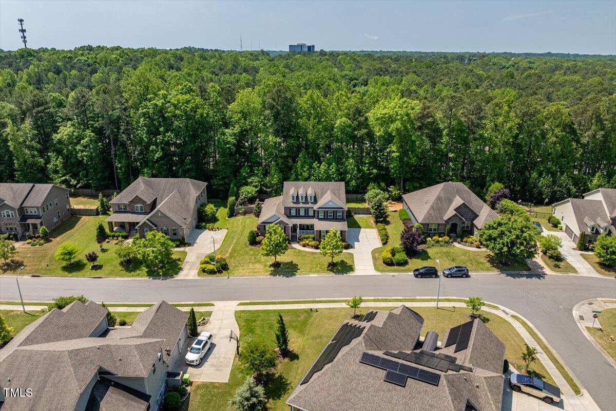2421 Trenton Park Lane Raleigh, NC 27607 - Photo 64 of 66 a view of swimming pool with lawn chairs and plants