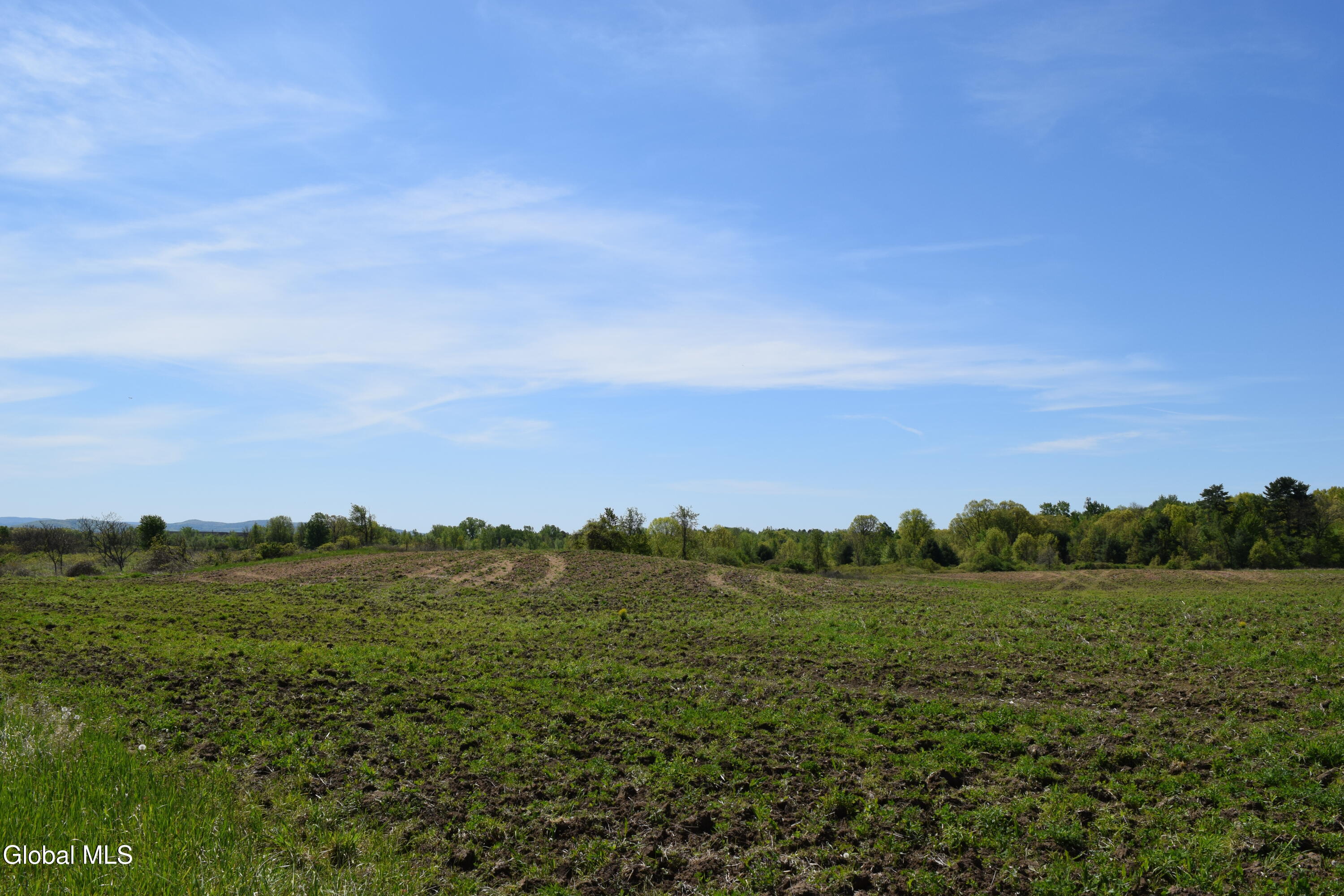 115 Farm To Market Road Halfmoon, NY 12118 - Photo 5 of 22 5