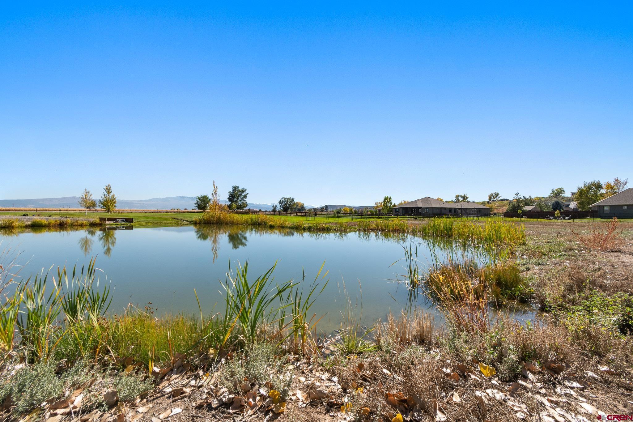 63242 Pearl Road Montrose, CO 81403 - Photo 11 of 14
