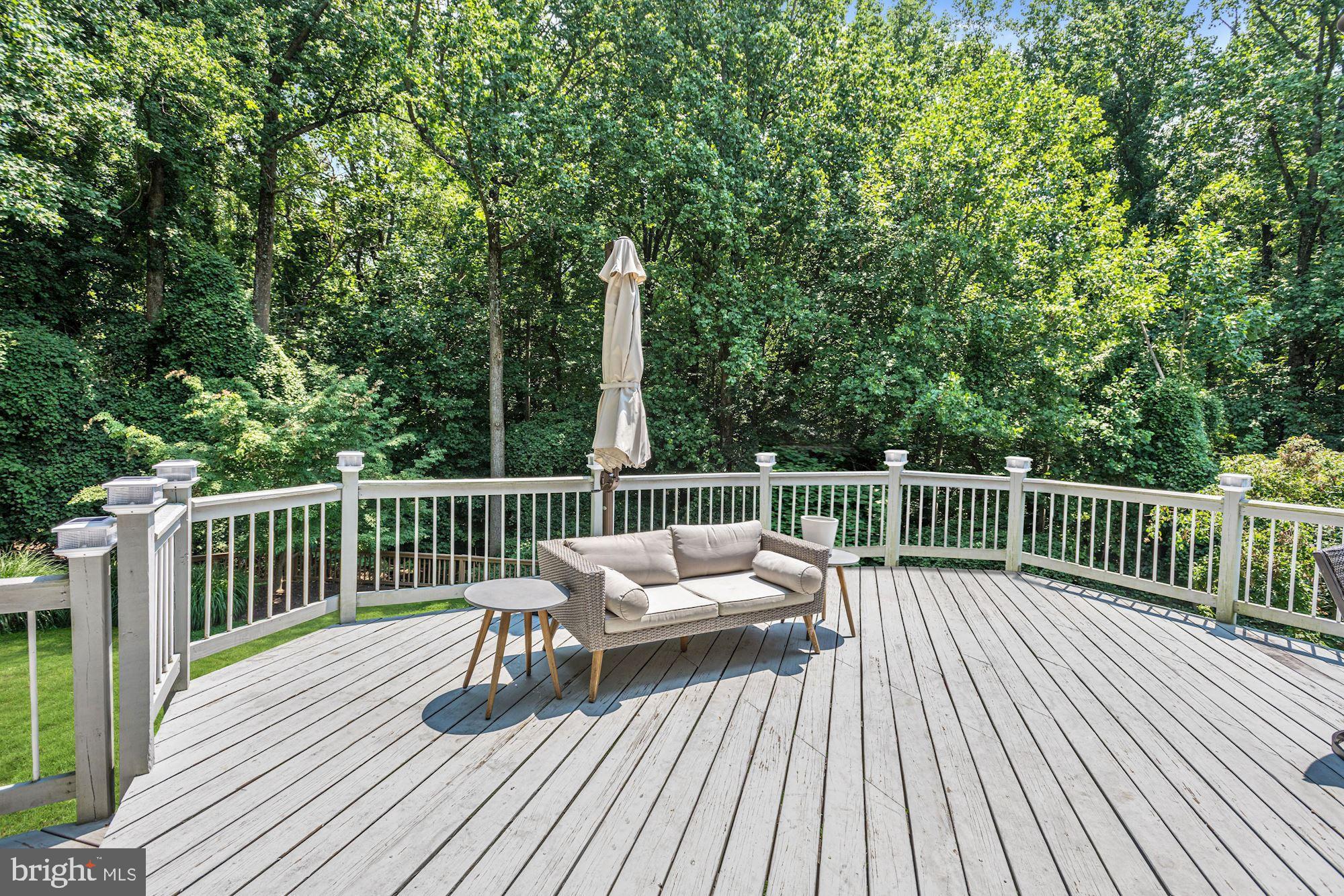 2005 Burdock Road Baltimore, MD 21209 - Photo 48 of 59 Expansive Deck