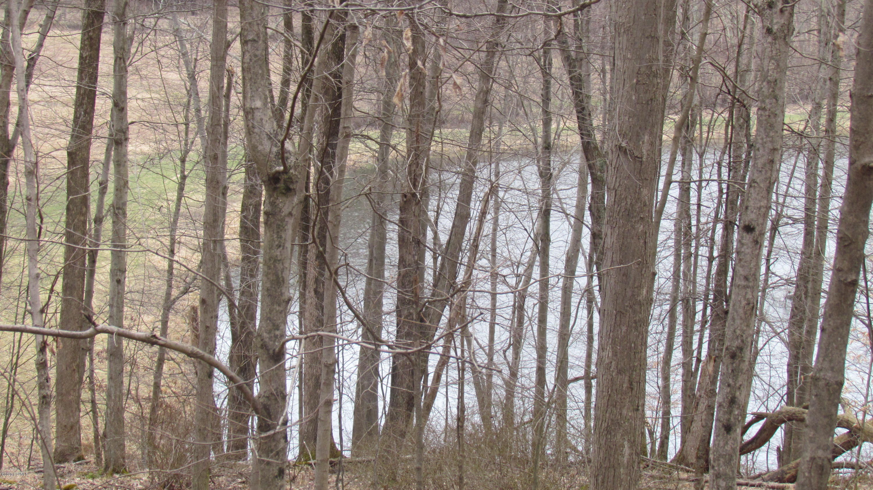 Mountain Rd Road Shickshinny, PA 18655 - Photo 27 of 27