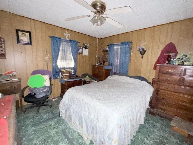 a view of a backyard that has plants and large trees