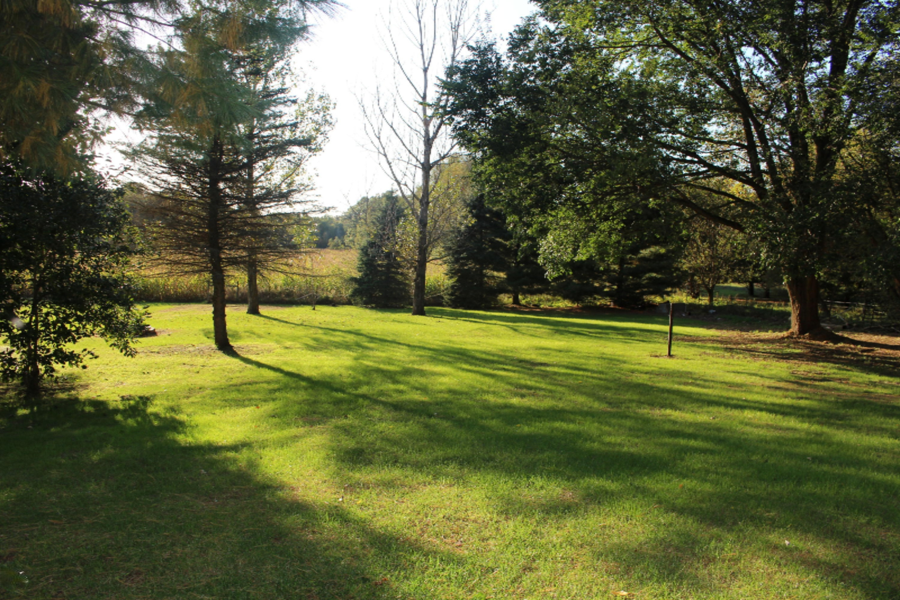 12106 Rountree Road Hanover, MI 49241 - Photo 5 of 25 IMG_0834