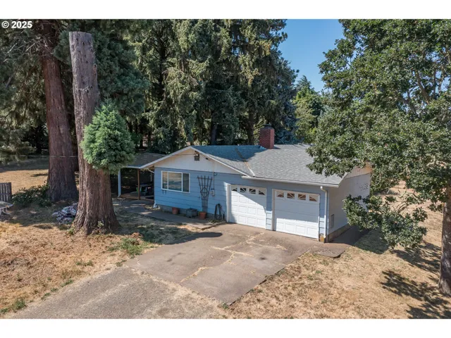 a view of a yard in front of a house with large tree