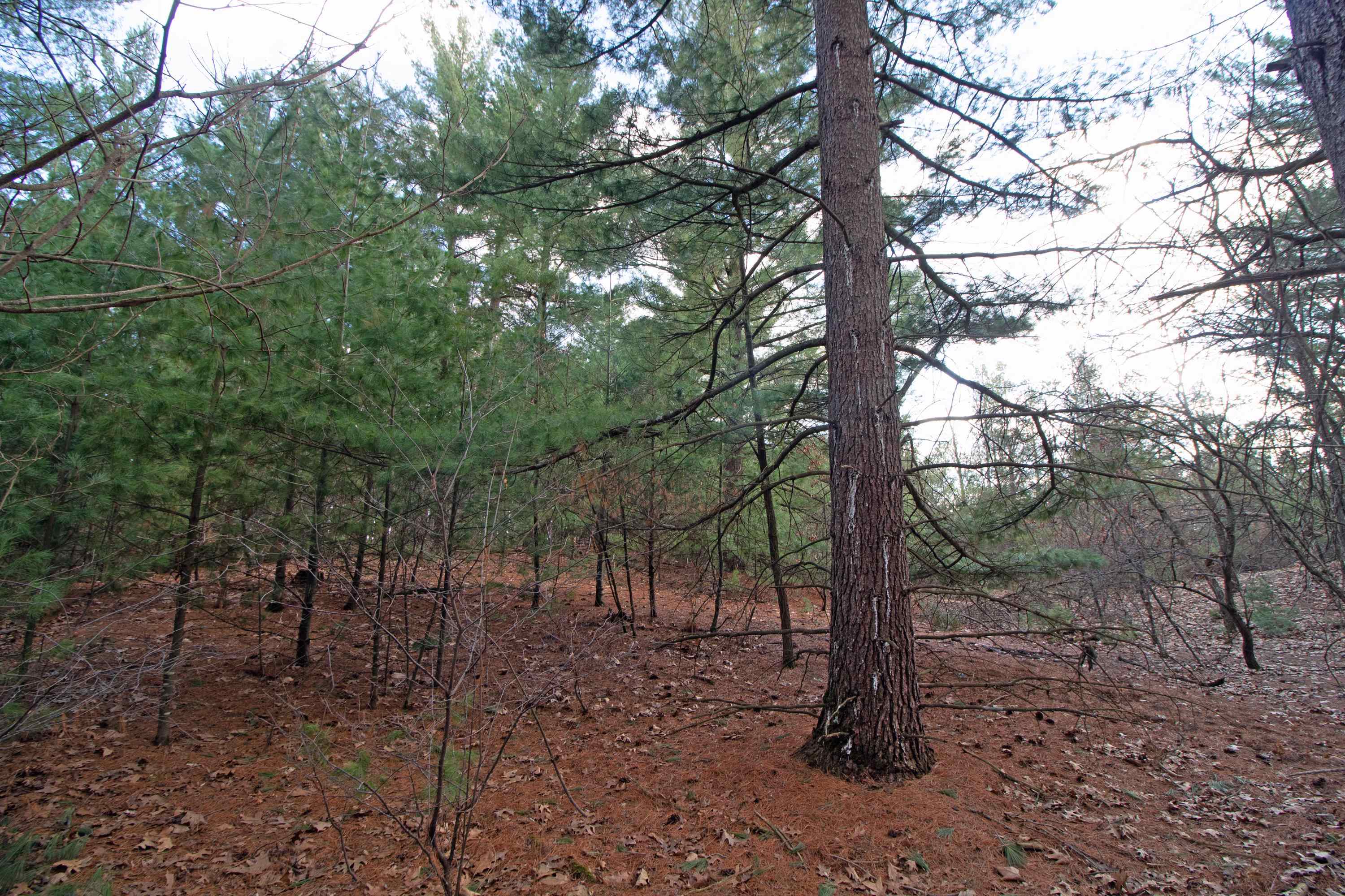 33564 Fulton Street Lone Rock, WI 53556 - Photo 12 of 25