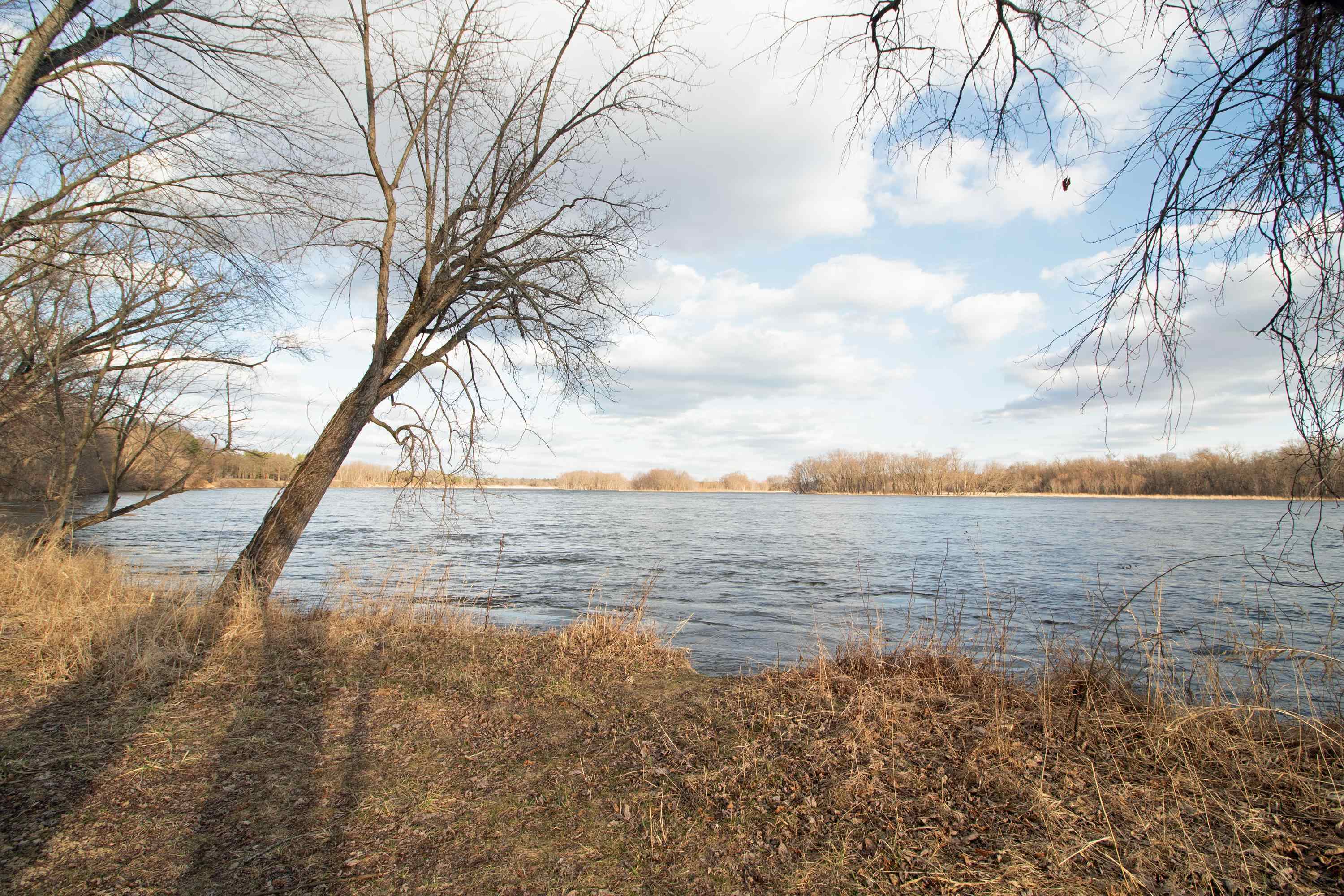 33564 Fulton Street Lone Rock, WI 53556 - Photo 19 of 24