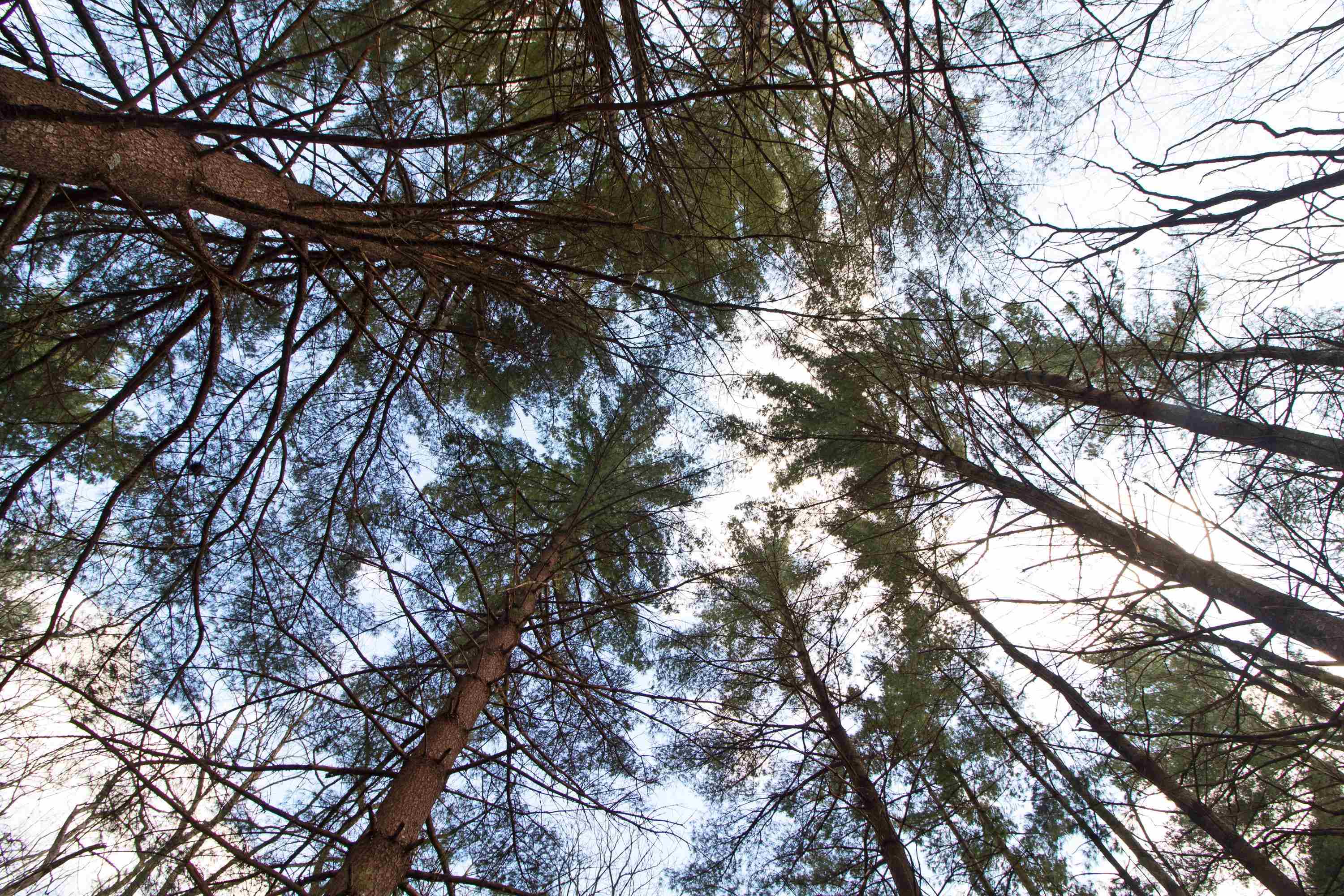 33564 Fulton Street Lone Rock, WI 53556 - Photo 4 of 24