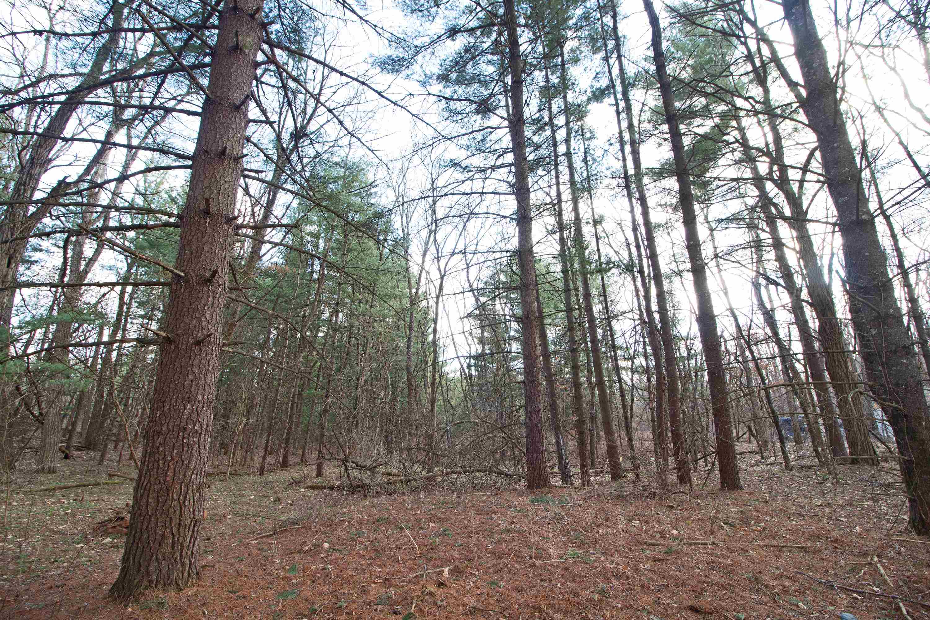 33564 Fulton Street Lone Rock, WI 53556 - Photo 4 of 25