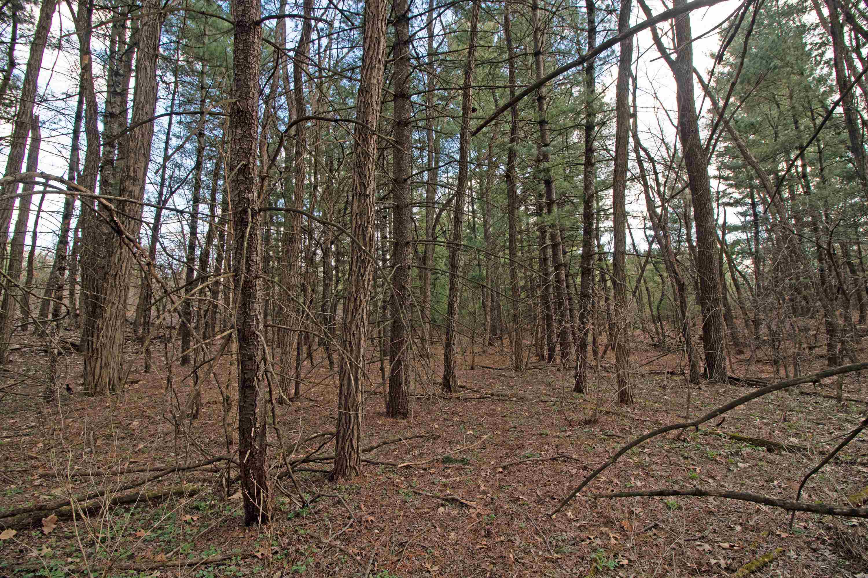 33564 Fulton Street Lone Rock, WI 53556 - Photo 5 of 24