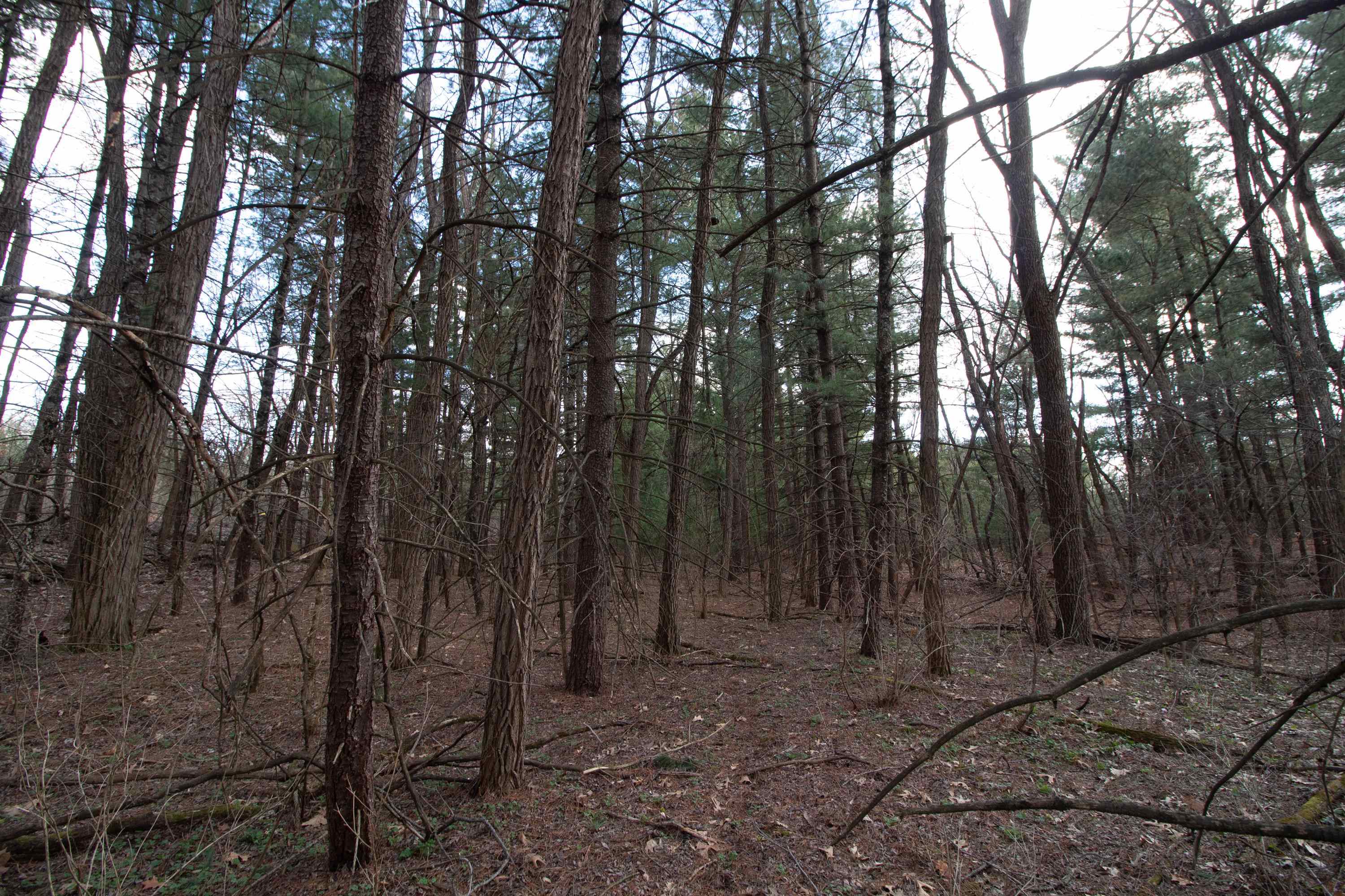 33564 Fulton Street Lone Rock, WI 53556 - Photo 6 of 24