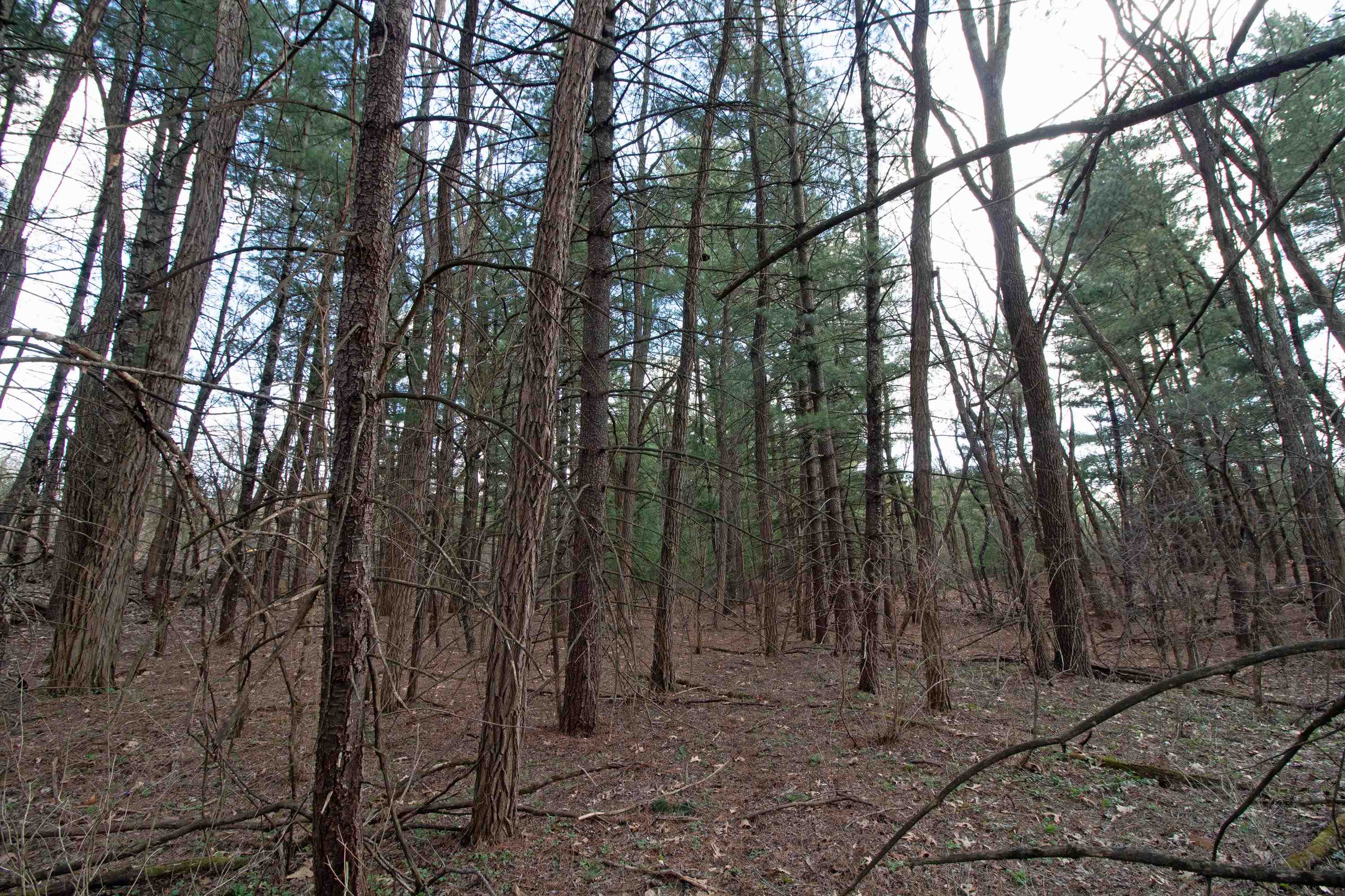 33564 Fulton Street Lone Rock, WI 53556 - Photo 7 of 24