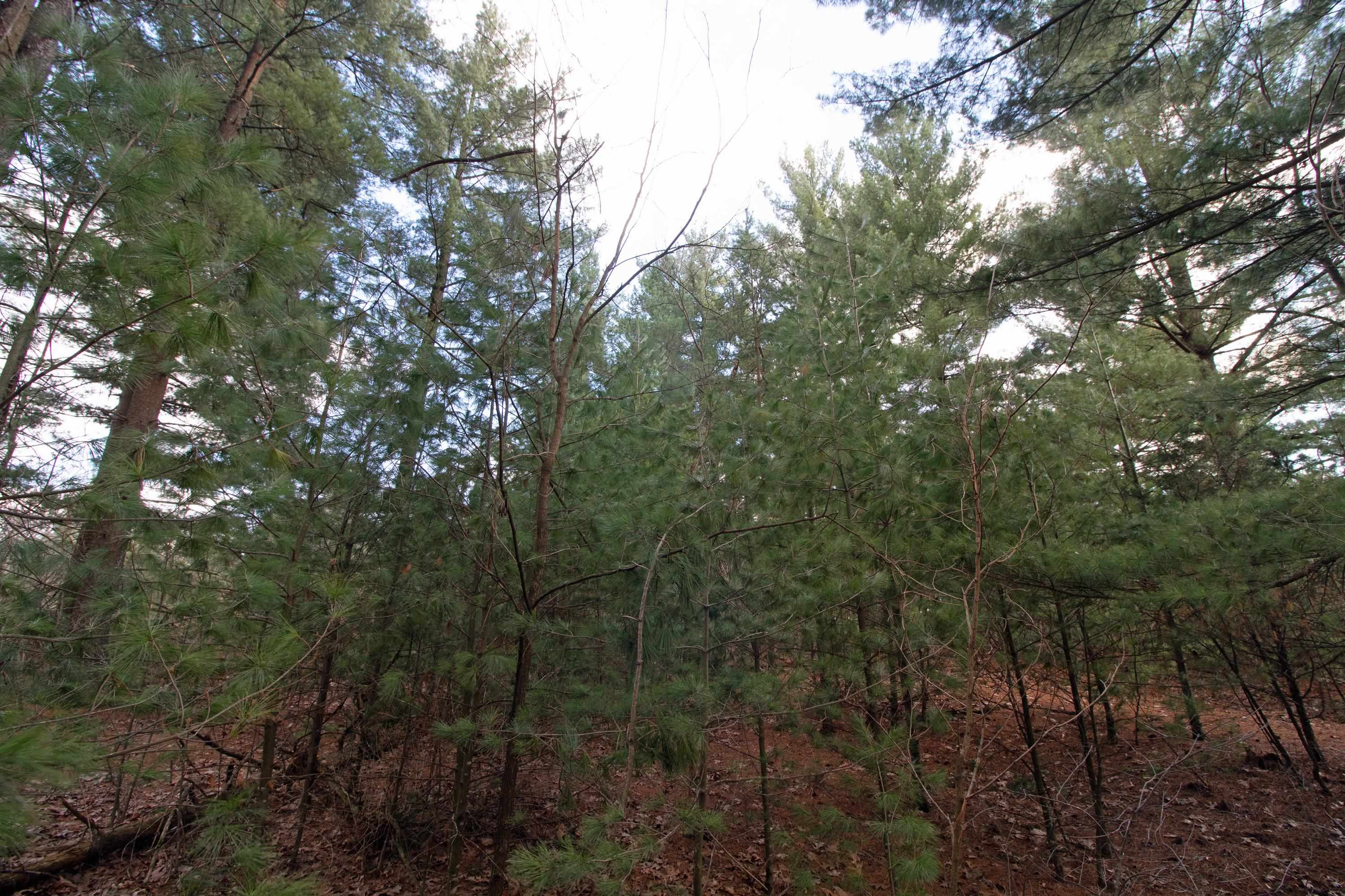 33564 Fulton Street Lone Rock, WI 53556 - Photo 10 of 25