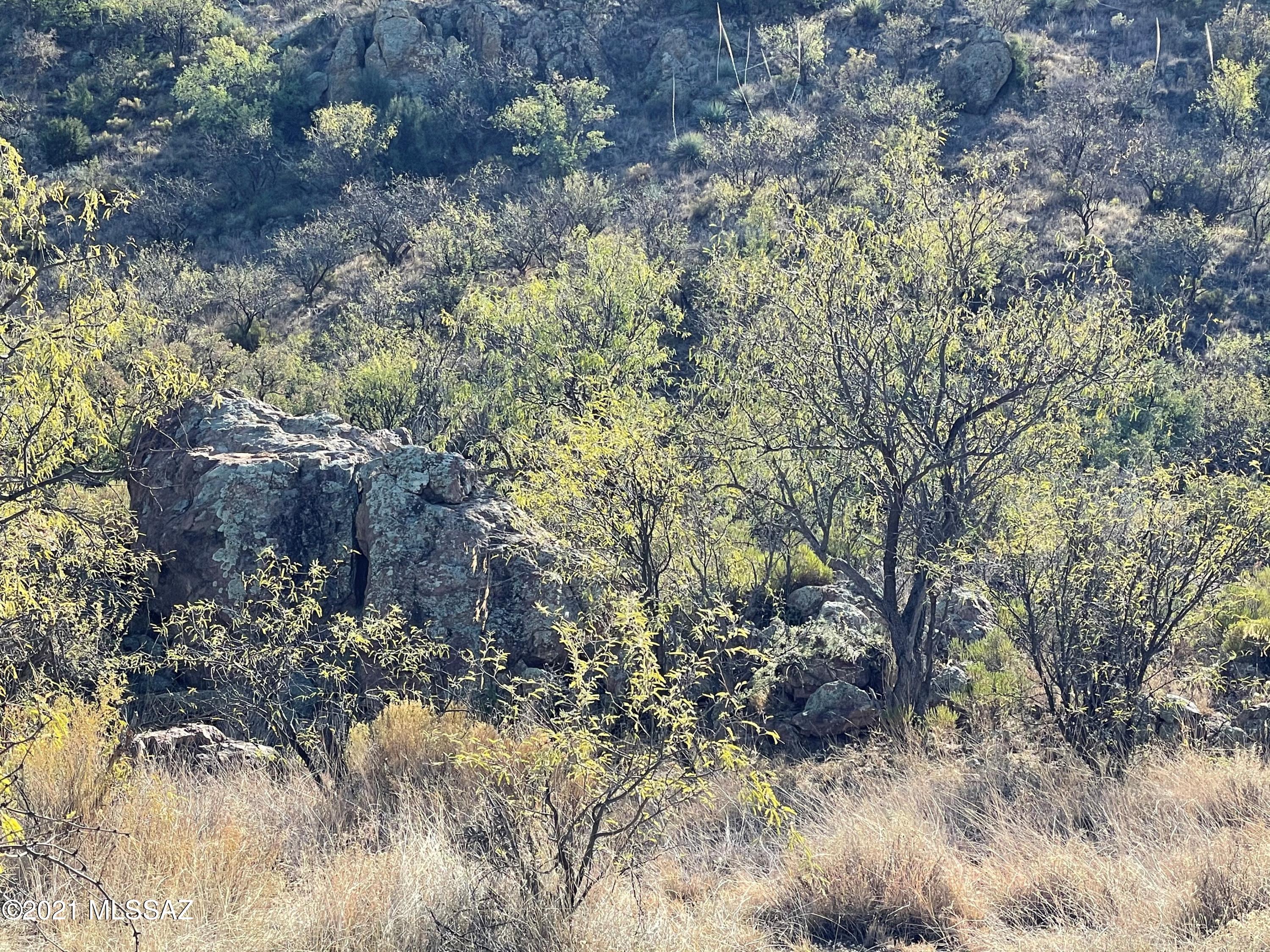Tbd Morning Star Drive, Unit 62 Rio Rico, AZ 85648 - Photo 11 of 23