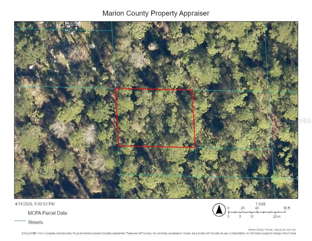 0 Northeast 69th Avenue Citra, FL 32113 - Photo 2 of 3 a view of a yard with a tree