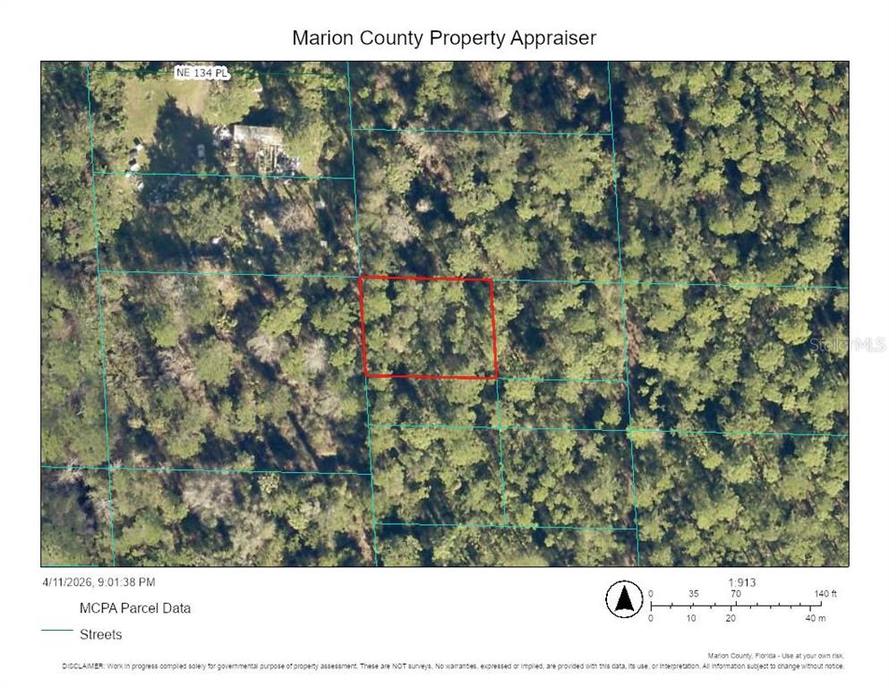 0 Northeast 69th Avenue Citra, FL 32113 - Photo 3 of 3 a view of a forest