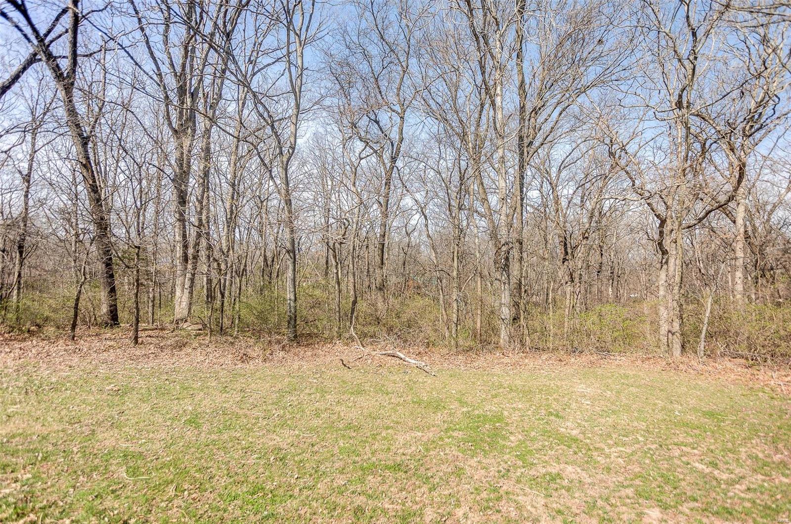 6123 Chantilly Bend Waterloo, IL 62298 - Photo 53 of 62