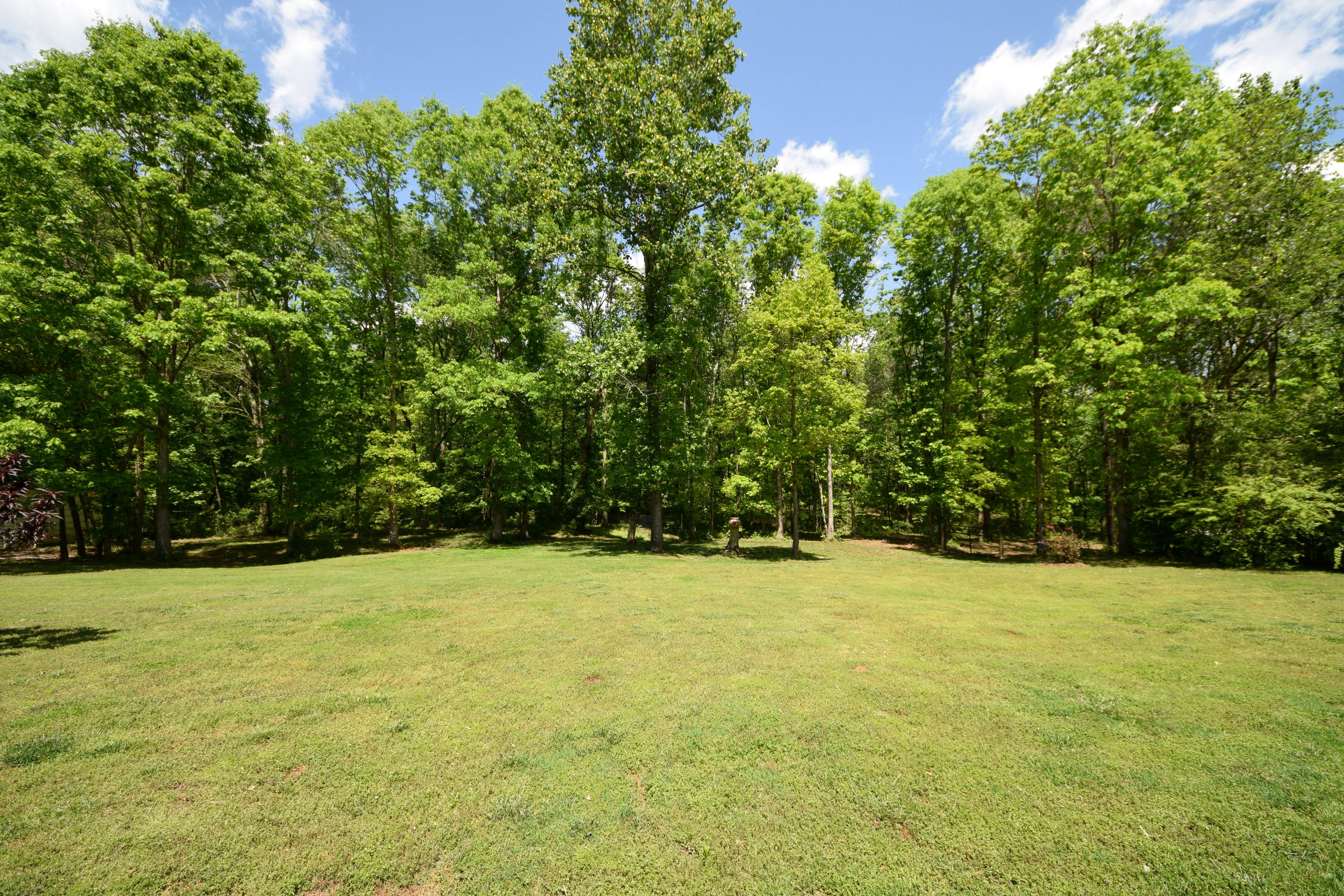 370 Davis Road Northwest Cleveland, TN 37312 - Photo 57 of 66 DSC_6996