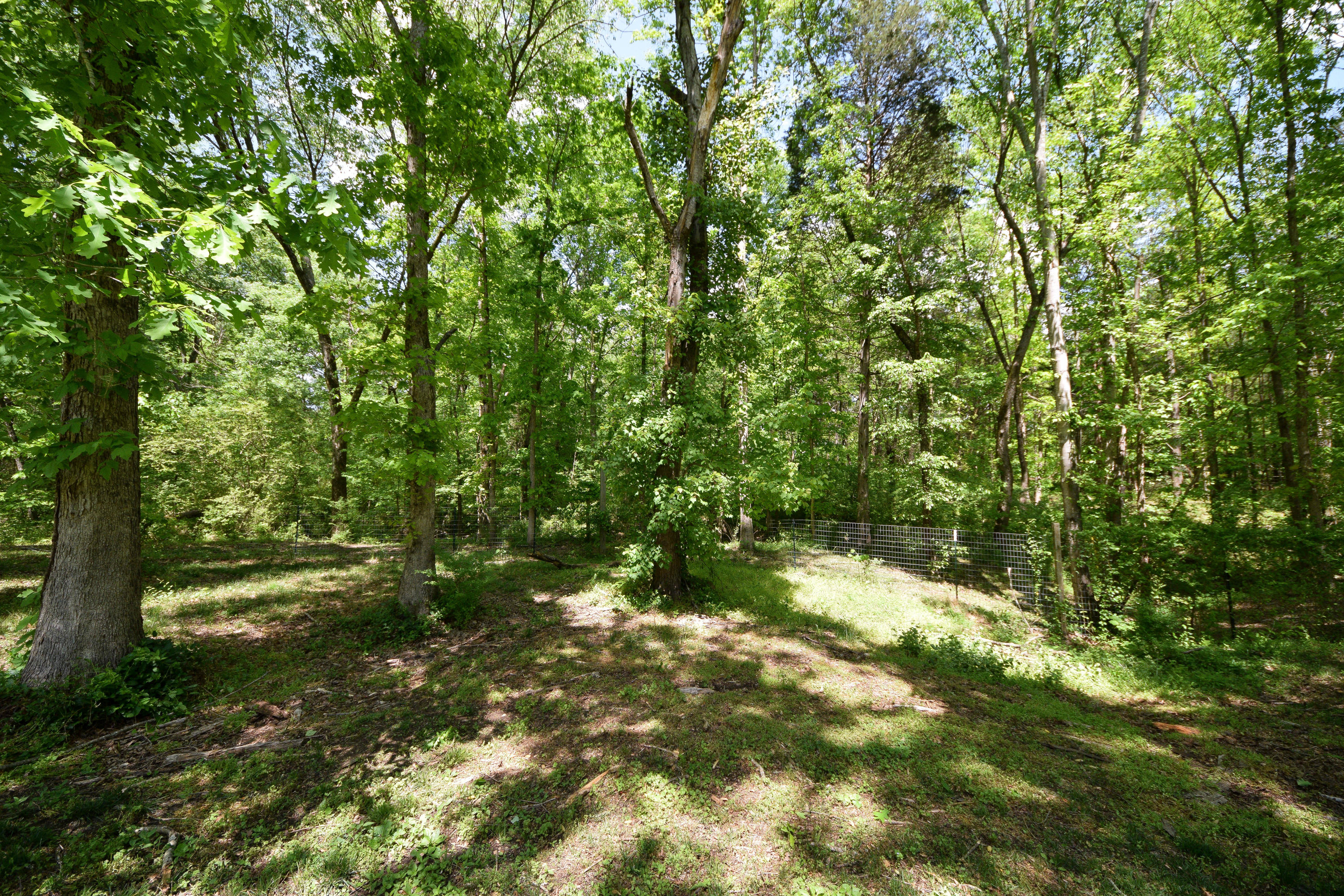370 Davis Road Northwest Cleveland, TN 37312 - Photo 60 of 66 DSC_7002