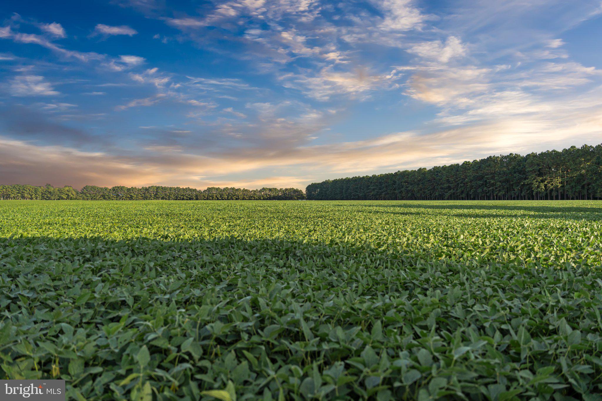 200 tilled acres