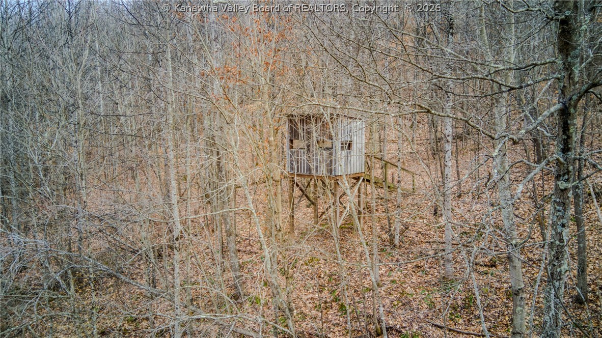 0 Evansview Road Evans, WV 25241 - Photo 16 of 41 Gallery Image 16