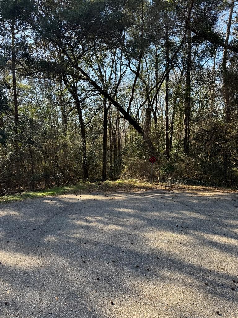 0 Vining Drive Dothan, AL 36303 - Photo 7 of 7
