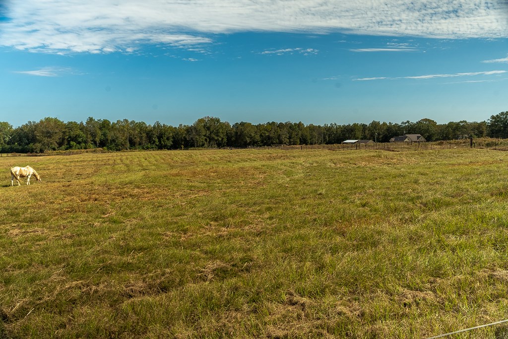 0 J B J B Jackson Road Webb, AL 36376 - Photo 27 of 38