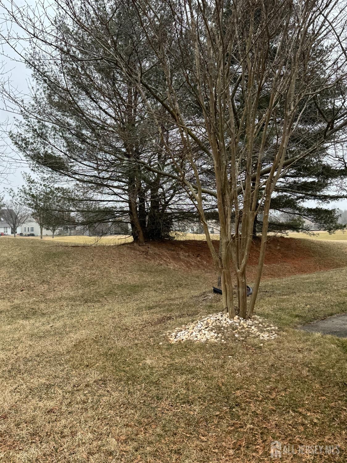 56 Chichester Road Monroe Township, NJ 08831 - Photo 31 of 34 Gallery Image 31